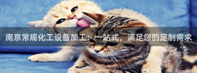 新城平台登录入口官网网址是多少