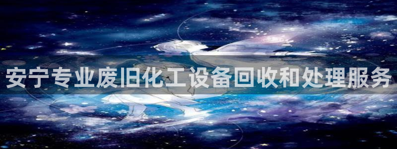 新城平台登录入口官网查询系统