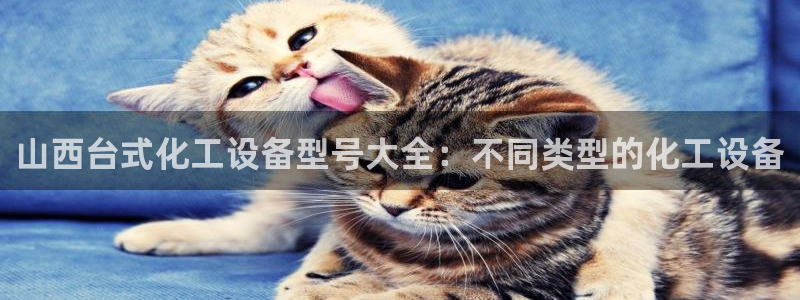 新城平台官网首页
