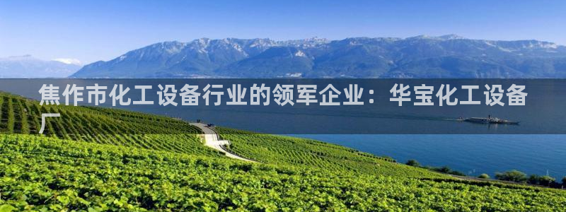 新城平台企业信息查询
