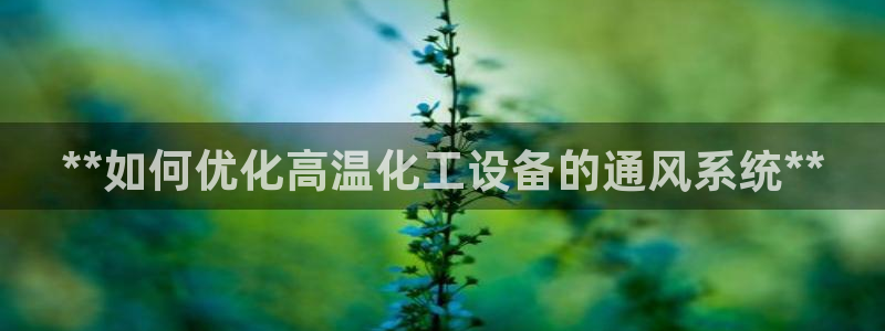 新城平台登录入口官网下载手机版