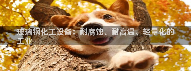 新城平台线路登录不上去怎么回事