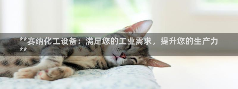 新城平台线路登录不上去