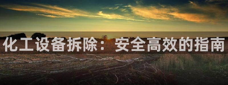 新城平台登陆