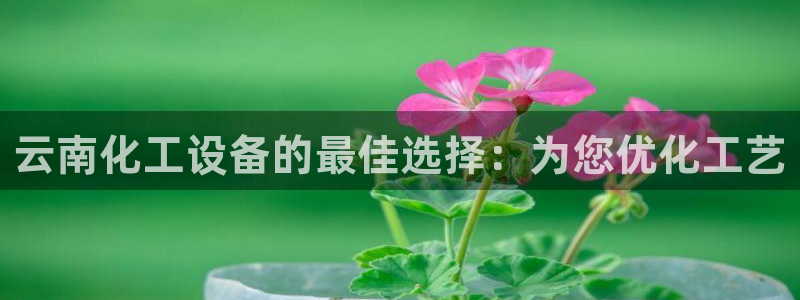 新城平台线路登录不上去怎么回事呀