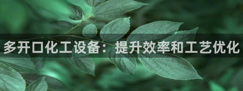 新城平台注册登录地址是什么