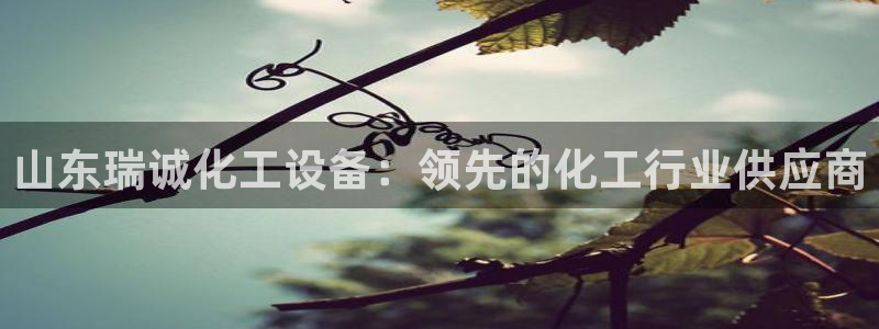 新城平台在线登陆