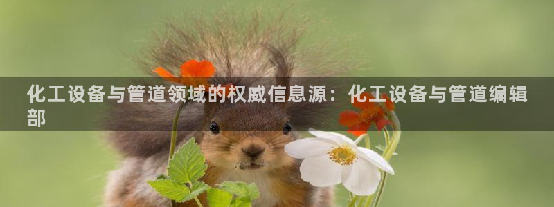 新城平台登录入口官网网址
