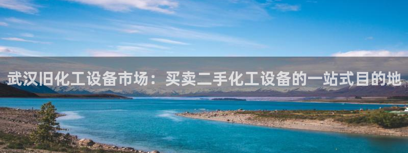 新城平台登录入口官网下载安装