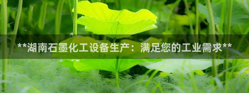 新城平台注册公司流程图