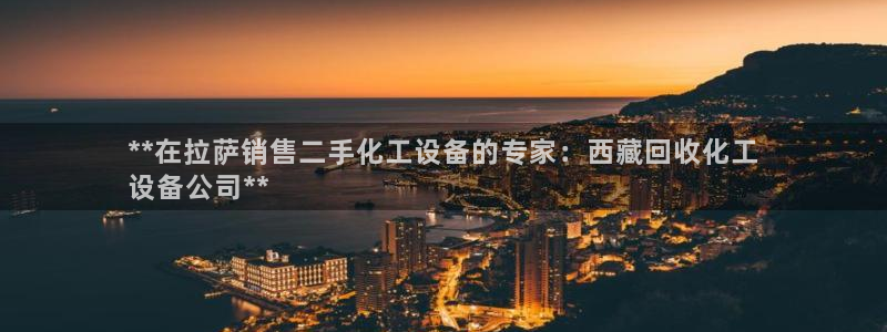 新城平台登录入口官网首页下载