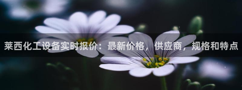 新城平台线路登录不上去怎么回事儿