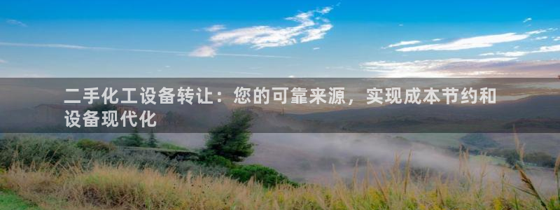 新城平台公司