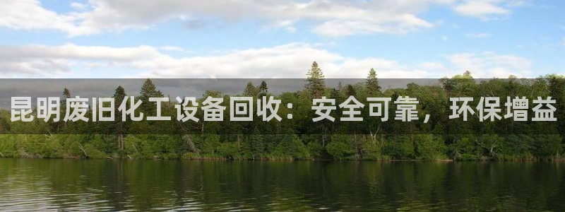 新城平台是干嘛的公司啊
