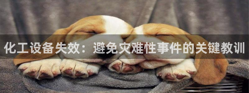 新城平台一新城注册