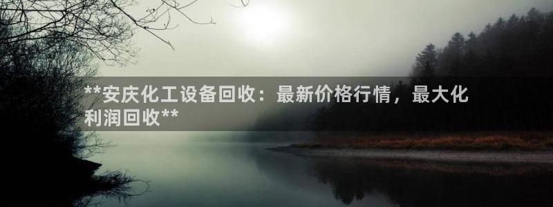 新城平台官网首页入口