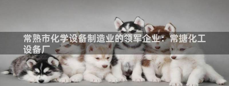 新城平台登录入口官网查询