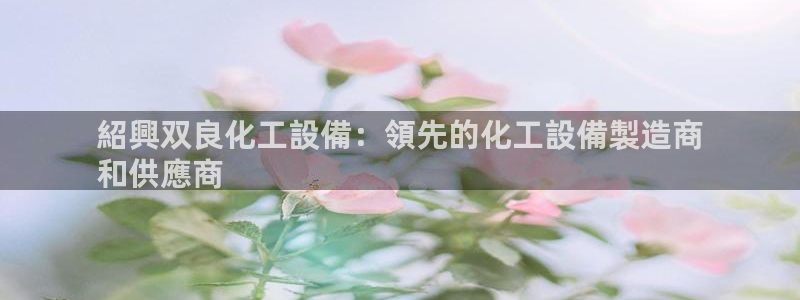 新城平台平台