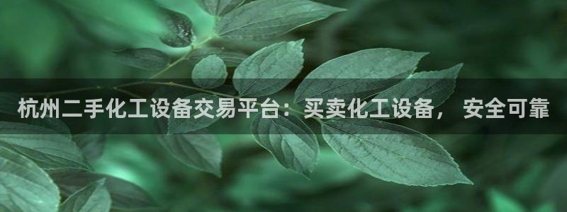 新城平台是干嘛的公司有哪些