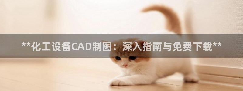 新城平台登录入口官网网址是多少