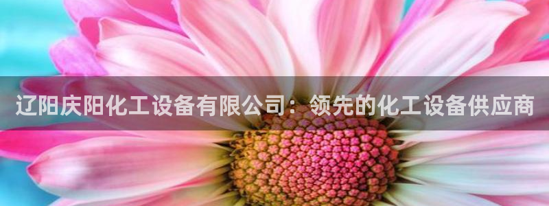 新城平台注册登录地址