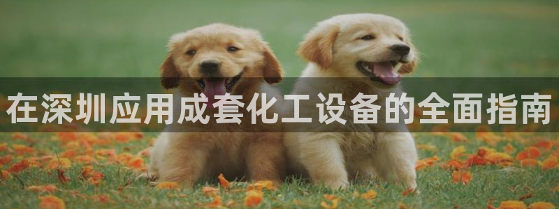 新城平台官网注册流程