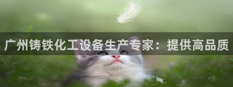 新城平台注册流程图