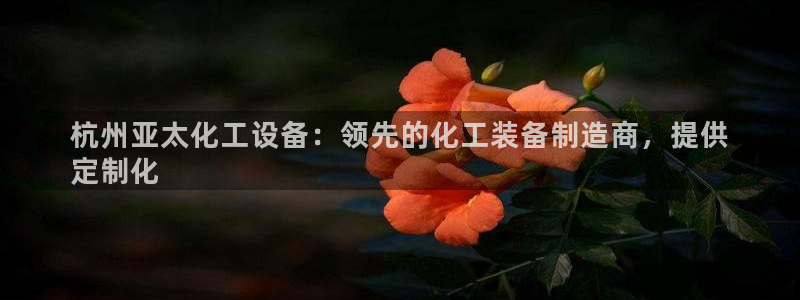 新城平台线路登录不上去怎么回事