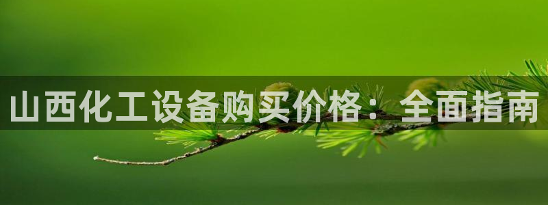 新城平台是干嘛的公司