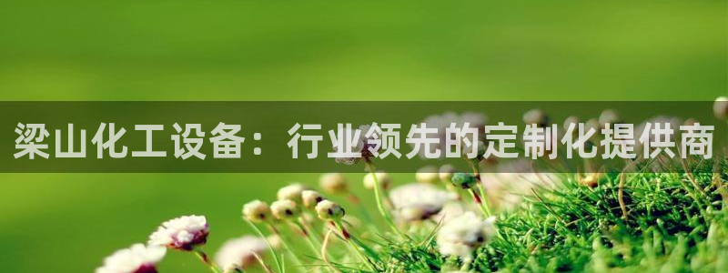 新城平台官网注册