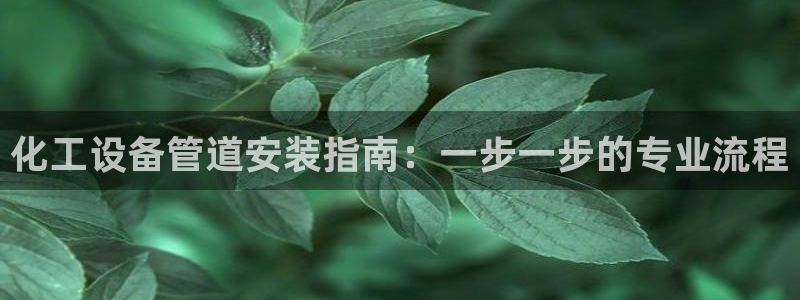 新城平台线路登录不上去了怎么办