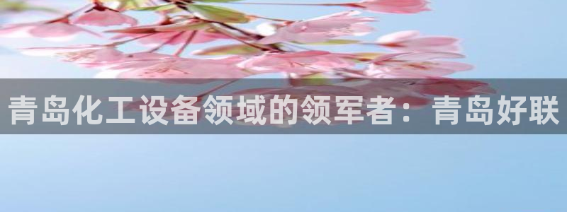 新城平台负责人电话