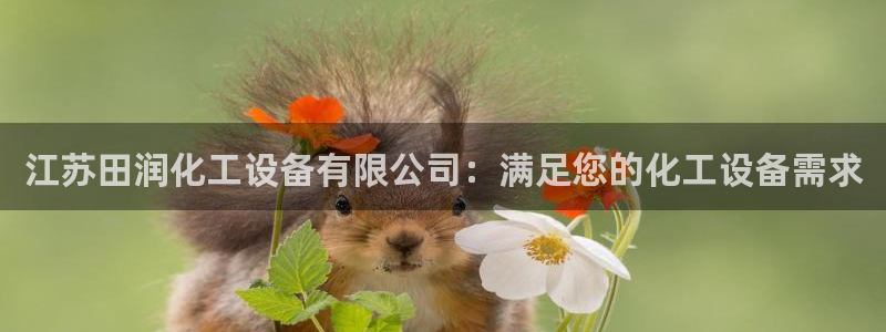 新城平台登录入口官网查询