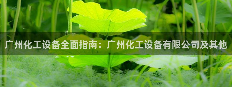 新城平台平台最新活动消息