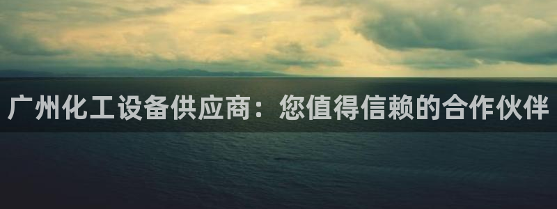 新城平台登录入口官网首页查询