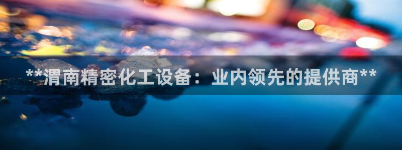 新城平台登录入口官网查询系统