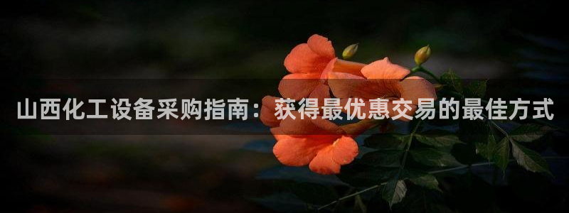 新城平台注册公司流程视频