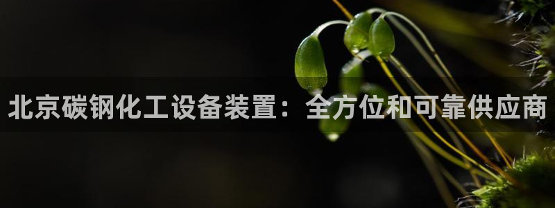 新城平台线路登录不上去怎么办呀