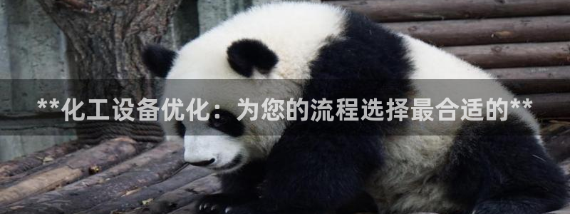 新城平台登录密码忘了怎么办