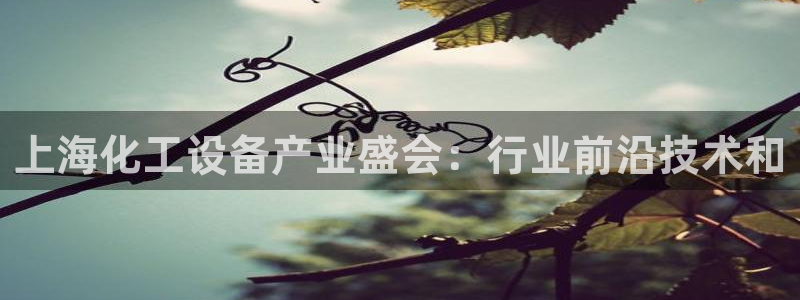 新城平台登录入口官网首页查询