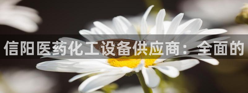新城平台登录入口