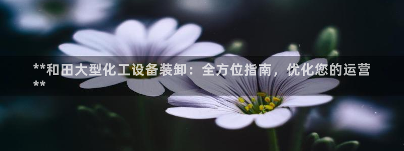 新城平台属于哪个系列
