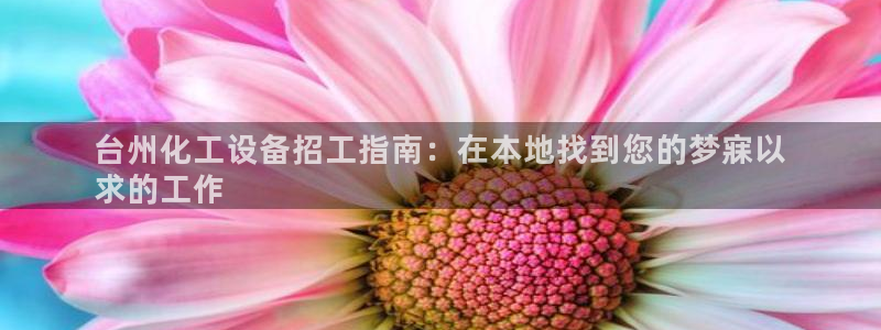 新城平台企业信息查询