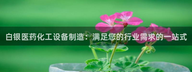 新城平台登录入口官网首页下载