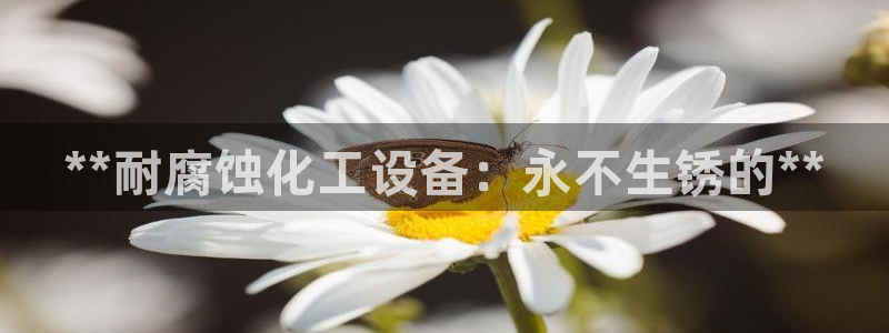 新城平台注册资金多少合适