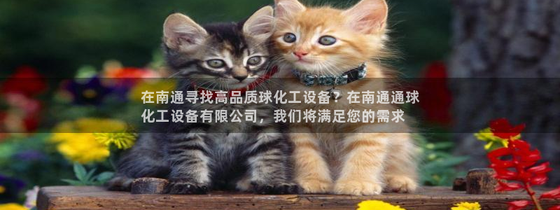 新城平台代理注册