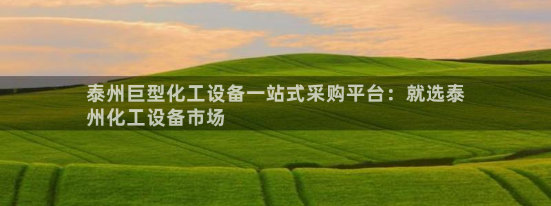 新城平台注册公司流程