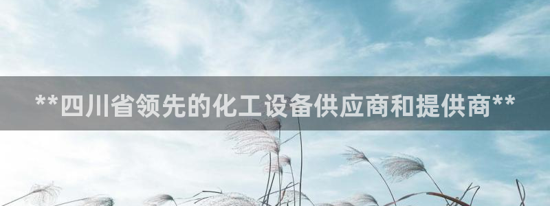 新城平台登录入口官网首页下载