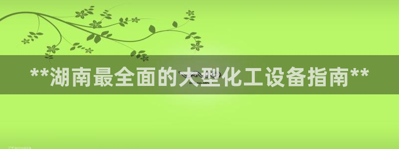 新城平台总代