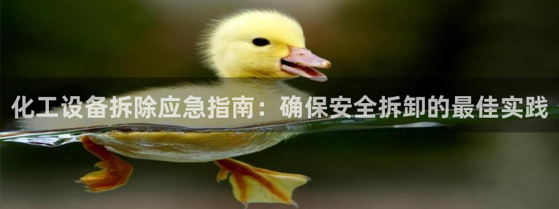 新城平台是干嘛的公司啊